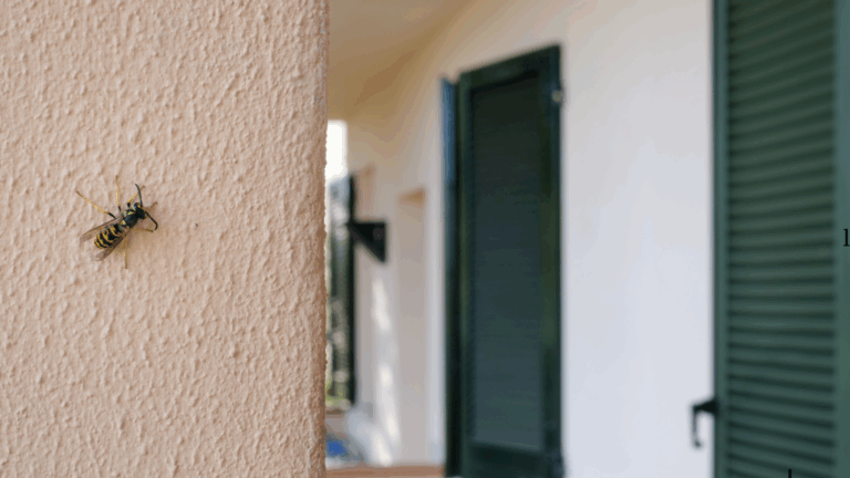 Security Screens: Protection Beyond Insects